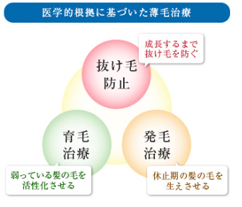 抜け毛治療←成長するまで抜け毛を守る、育毛←弱っている髪の毛を活性化させる、発毛←休止期の髪の毛を生えさせる